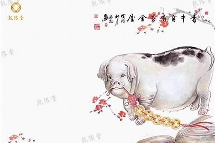 2024年属猪多大了虚岁 不同年份属猪人2024年运势