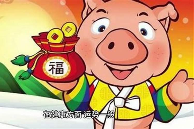 24年属猪人的全年运势