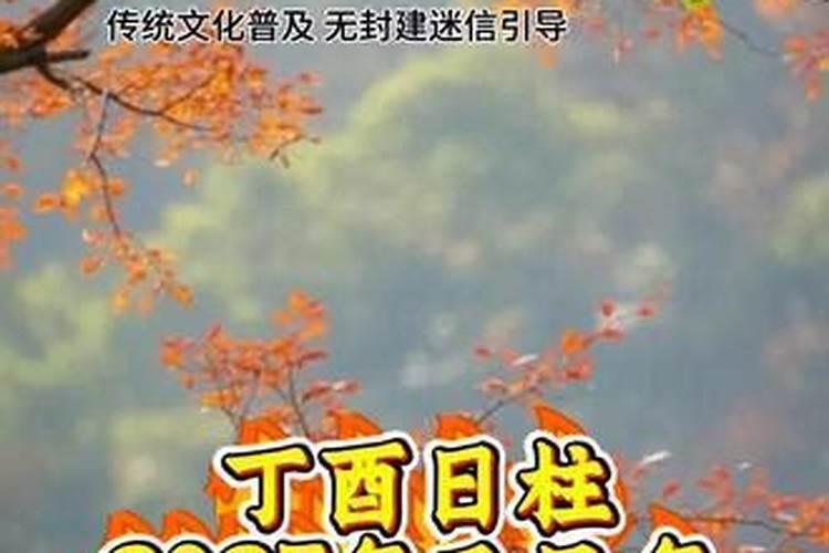 五行乙巳日柱代表什么
