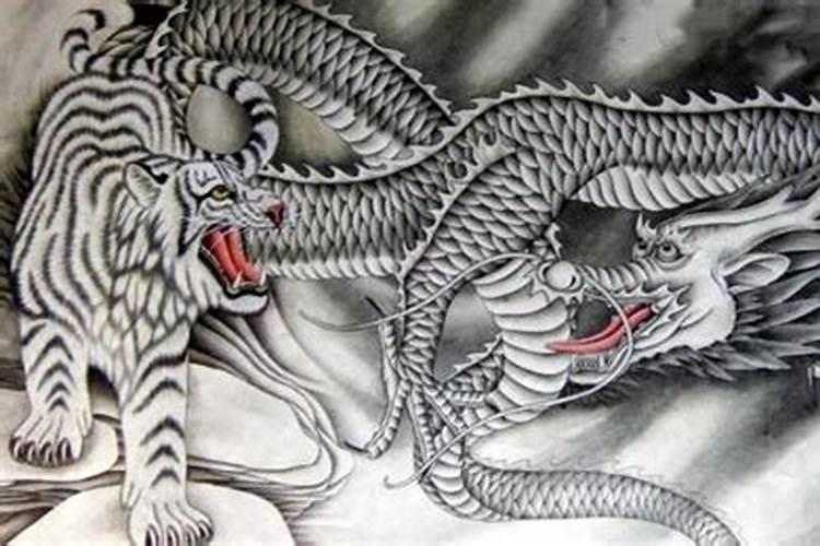 属虎男和属鼠女结合好不好,虎男鼠女相配吗命克吗