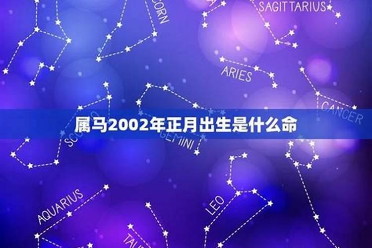 正月属马的命运如何