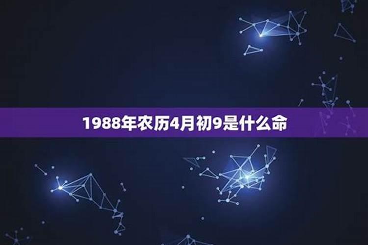 1988年,阴历4月初5,下午六点多出生的人的一生运式。她很注意学业和事业...