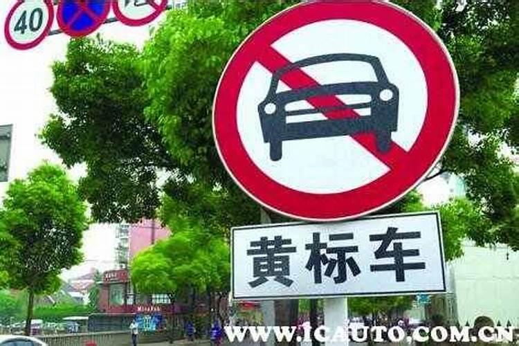 春季有哪些主要蜜源植物？