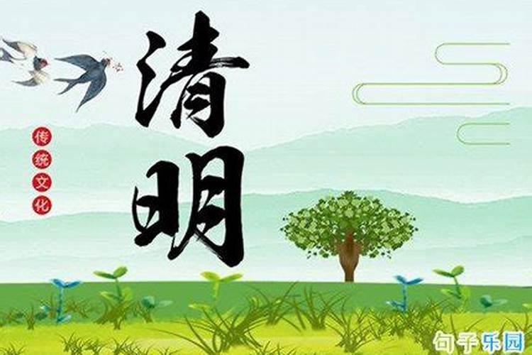 清明节是按阳历还是农历的生日