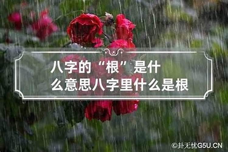 八字算命 通根 和 无根 是什么意思求解释