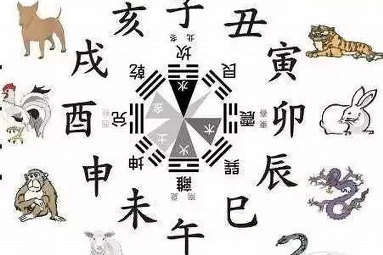 属相婚配合吗,为什么有这种说法？