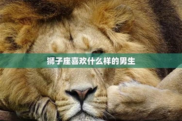 狮子座的男生性格