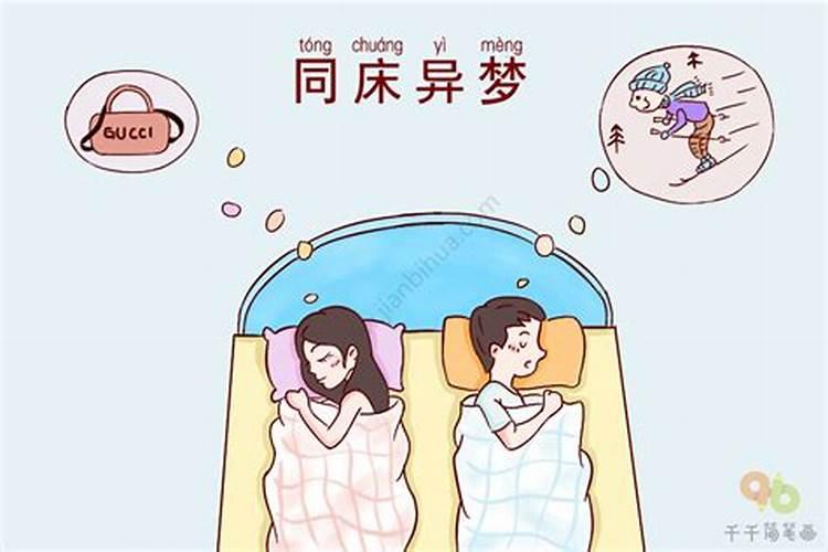 同床异梦无以复加糖衣炮弹天衣无缝什么生肖