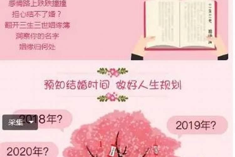 生肖鼠1984年2025年运势如何 生肖鼠1984年2025年全年运势