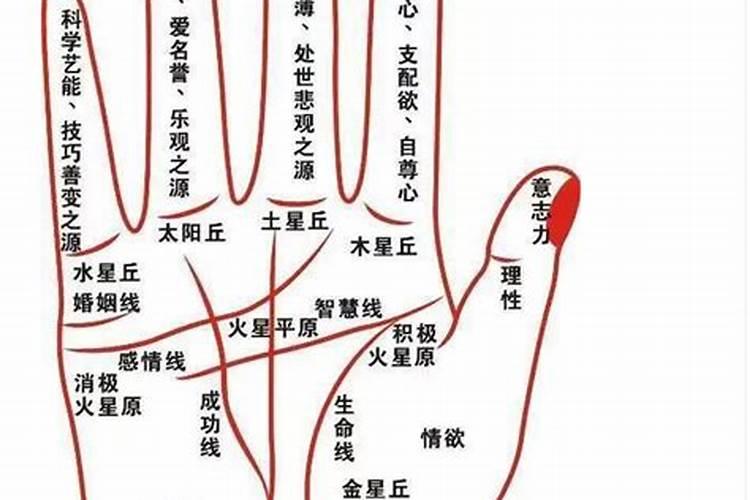 为什么不能随便看手相？