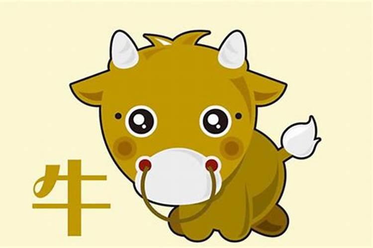 农历12月出生属牛人命好吗