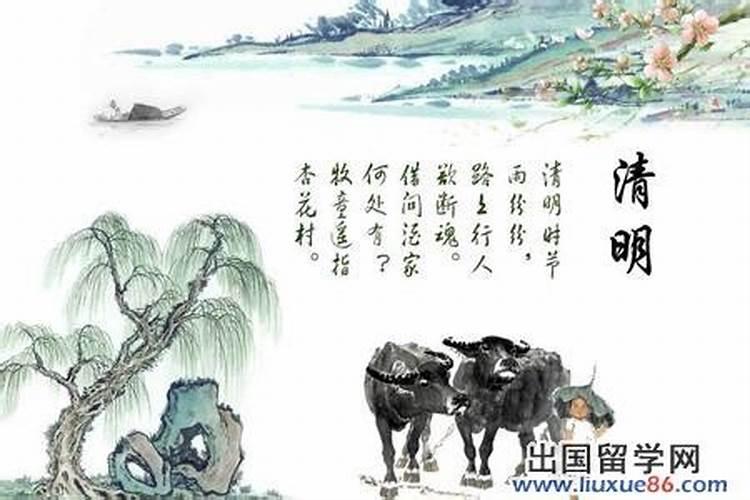 伤官坐正官是什么意思 大运为什么不顺