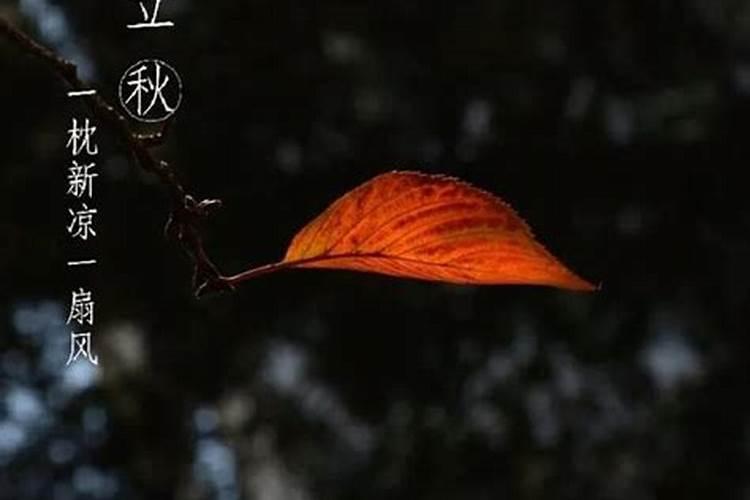 立秋是几月几日2023几点 描写立秋的诗句古诗