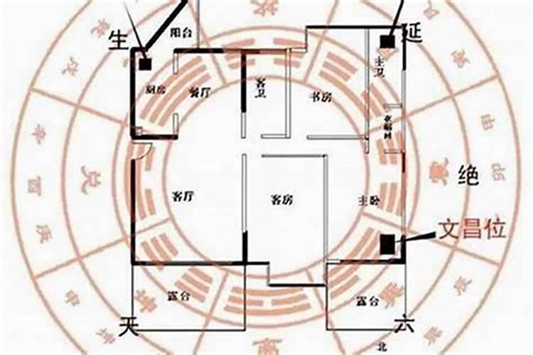 门口在西北的办公室财位在哪里