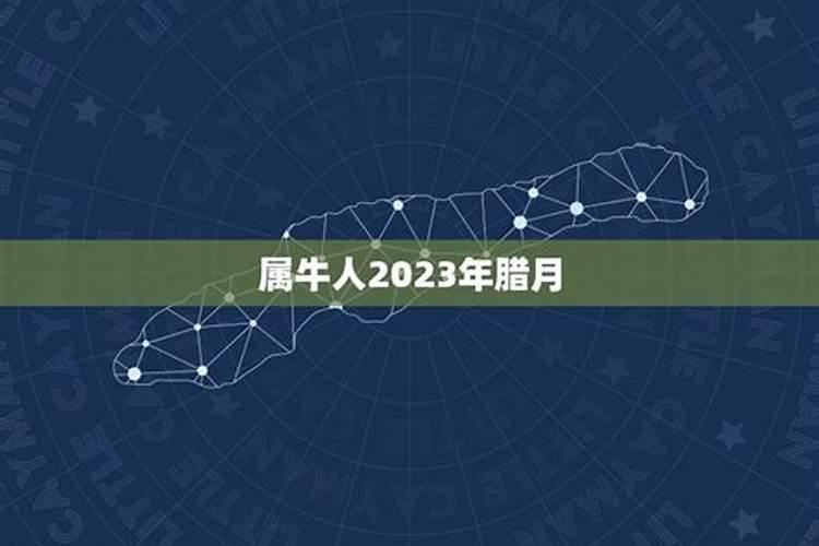 腊月生的男宝宝取名大全吉祥喜庆