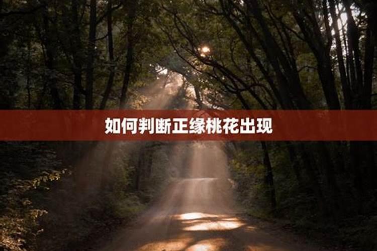 所有节日的时间顺序