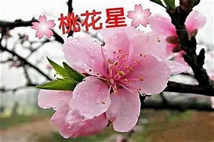 怎么通过八字看桃花,如何看八字里的外桃花