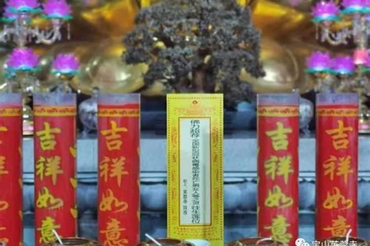 我刚做完人流一个月,昨天晚上就梦到一个男孩,在梦里他是我的儿子,我们...
