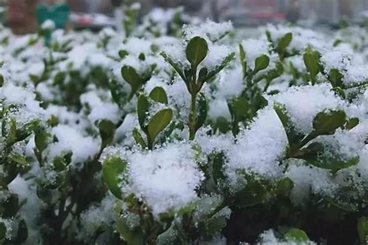 涉县哪一年清明节下雪了