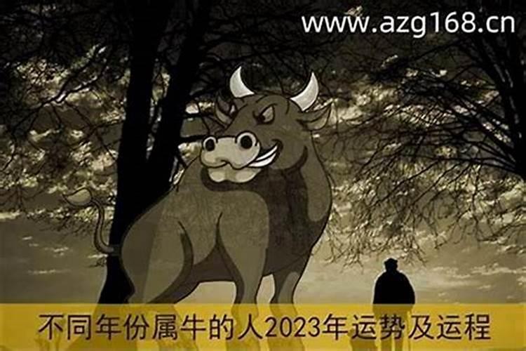 本命年运气差怎么办些化解办法