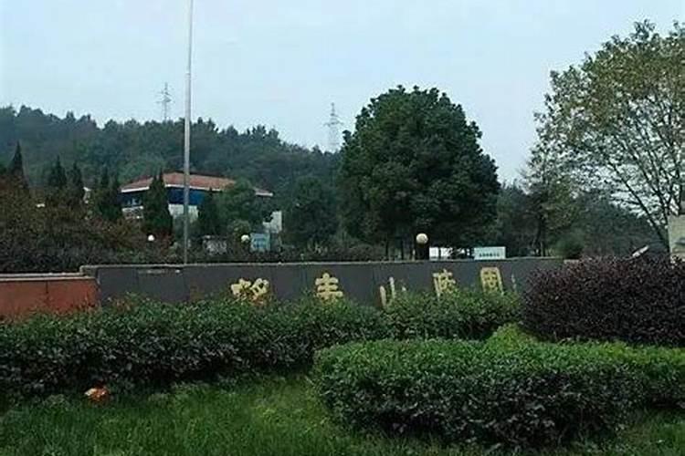 冬至扫墓是哪里的风俗
