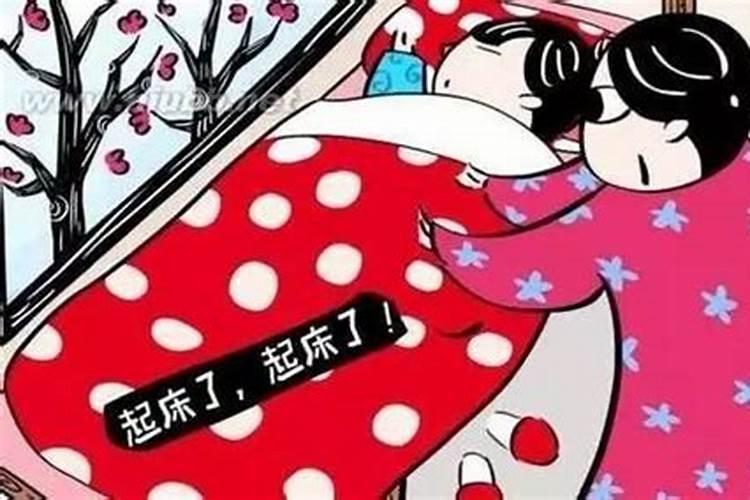 风水为什么说养狗好