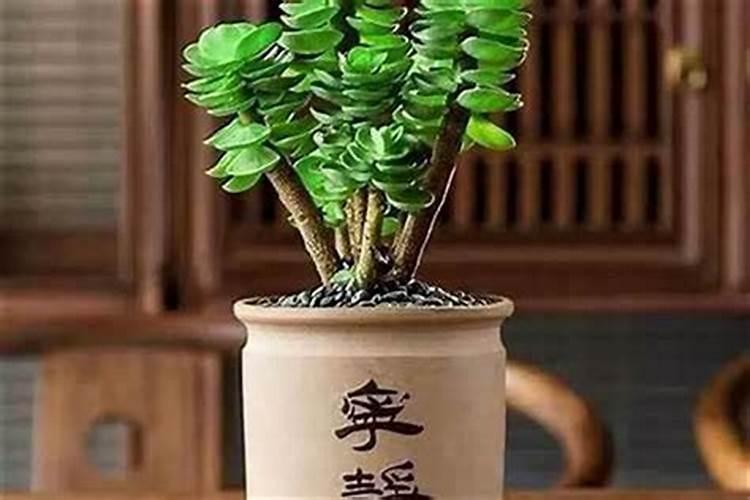 求职、考试的人要如何提高文昌运