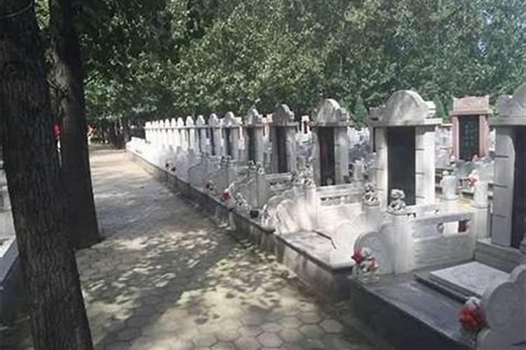 2019上海冬至扫墓开车怎么去