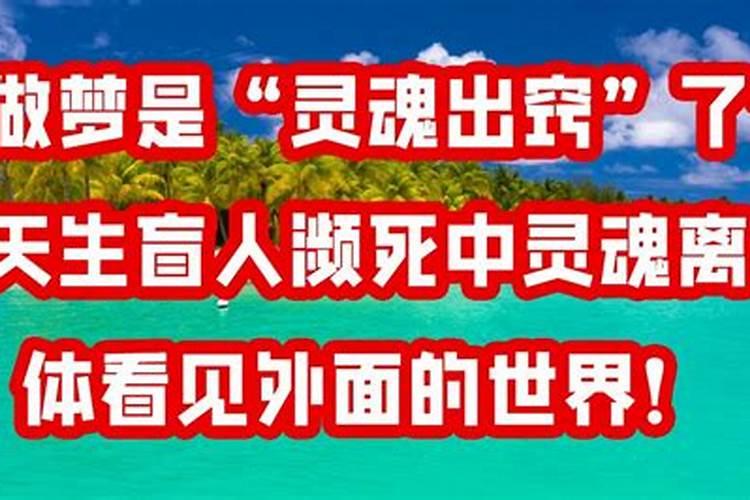 董易奇十二生肖2025运程