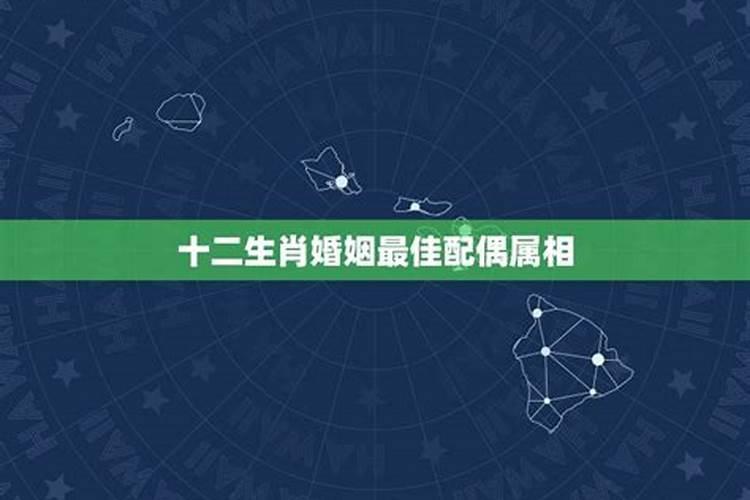 属猴的人出生年份