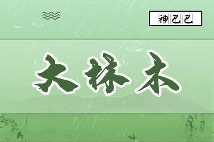 2025年5月16日生辰八字