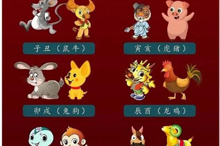 鸡的三合和六个合生肖是什么