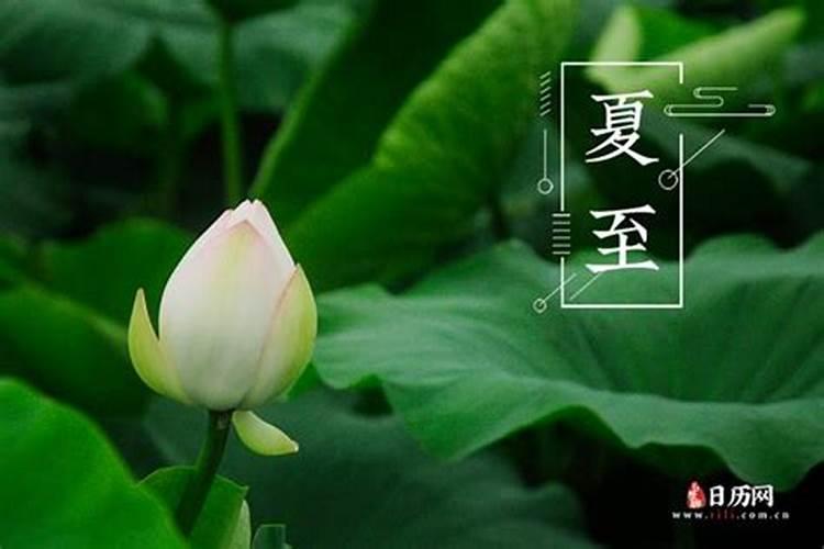 属牛属马千万不能在一起 属牛属马的人在一起般配吗
