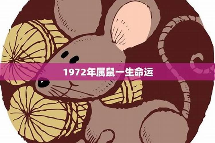 1960属鼠男命运,60年鼠一生命运如何