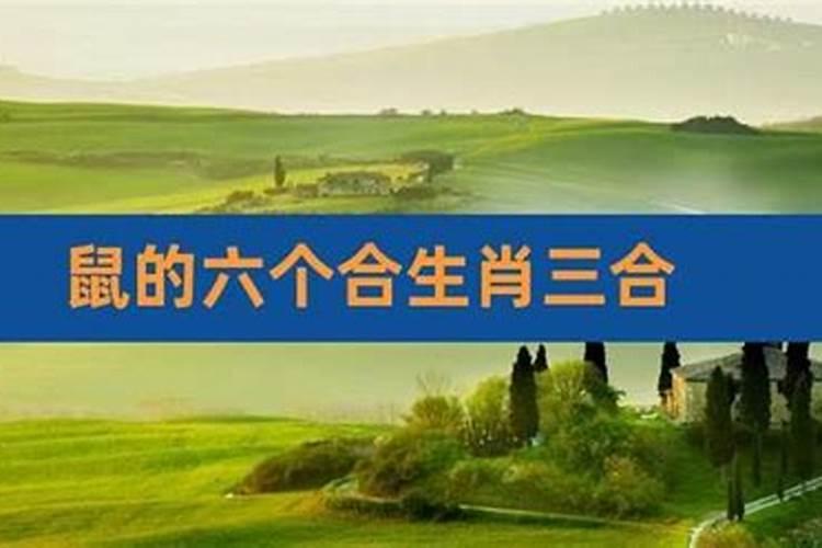 1972年属鼠人的贵人运怎么样