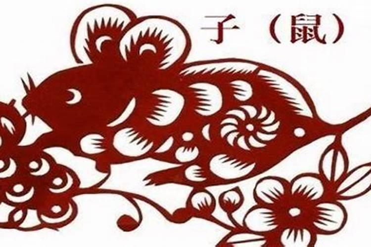 1996年鼠哪年走大运属鼠96年未来哪年起大运