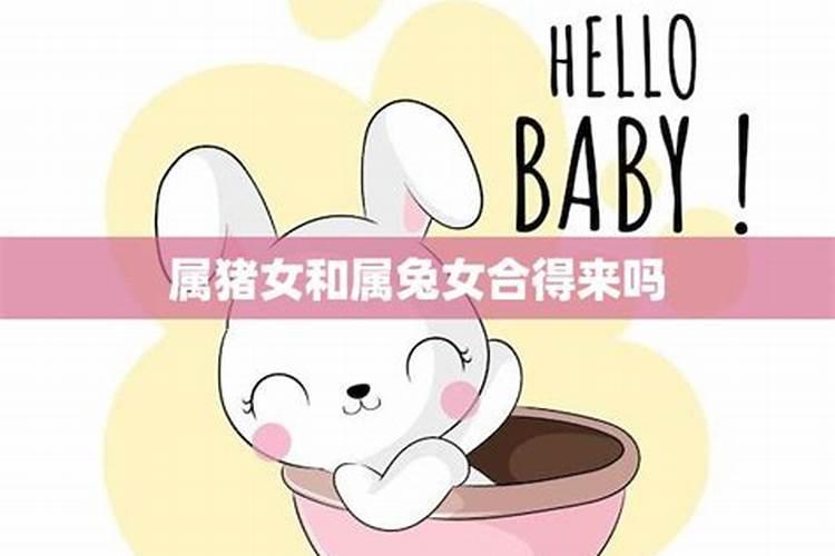 八字配对:属兔男与属猪女合得来吗 结婚会怎样