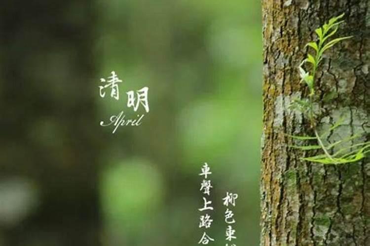 除夕中午吃的饭叫什么