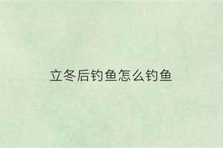 立冬后怎么钓鲤鱼