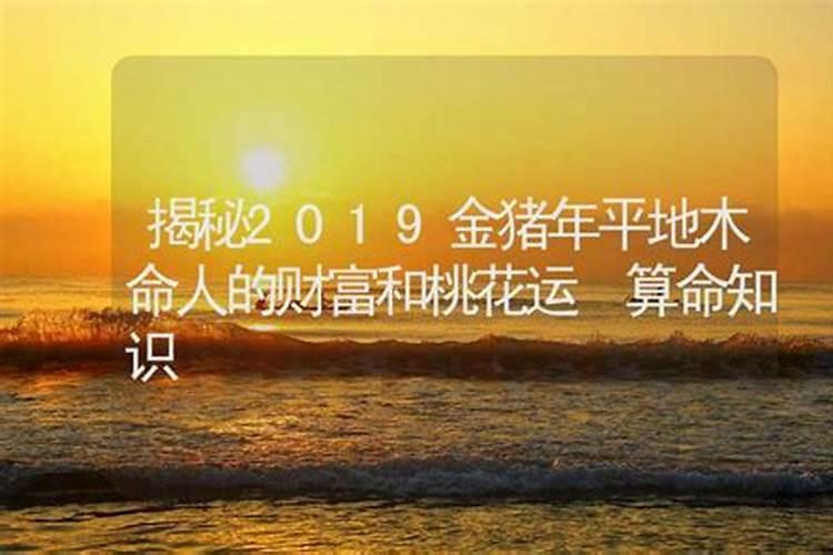 平地木命命带食伤吗,运势怎么样？