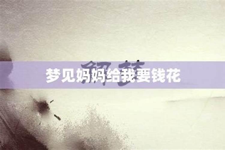 67年属羊人2025年运势