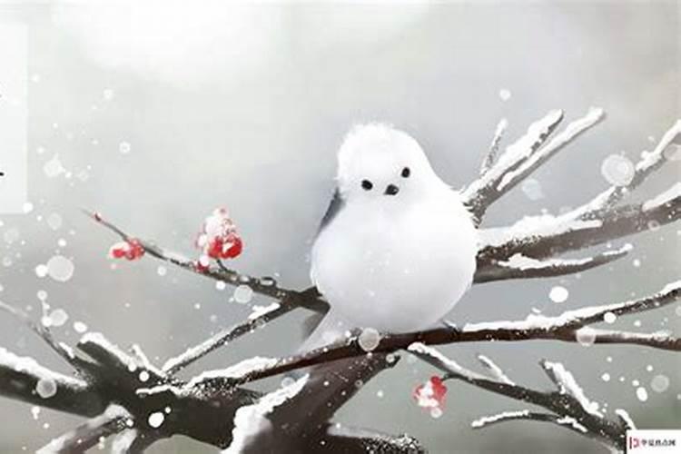 冬雪雪冬指的是哪四个节气 立冬节气代表着什么