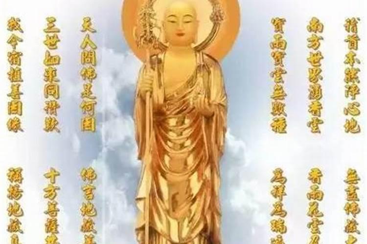 过往之猪什么意思 过往之猪的意思