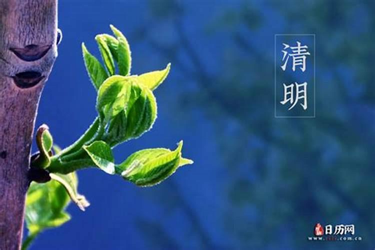 去世的人第一个清明节上坟吗