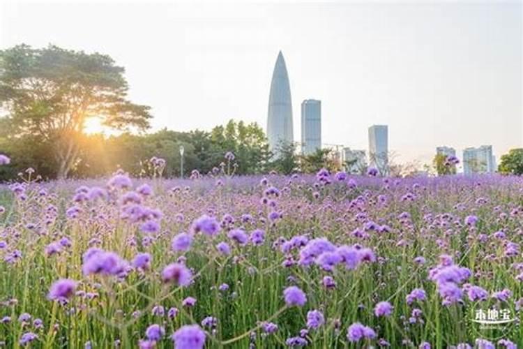清明节注意的习俗有哪些？
