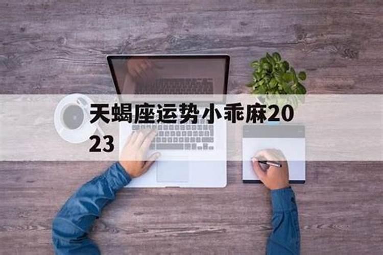 小乖麻这个星座有望成为年度黑马