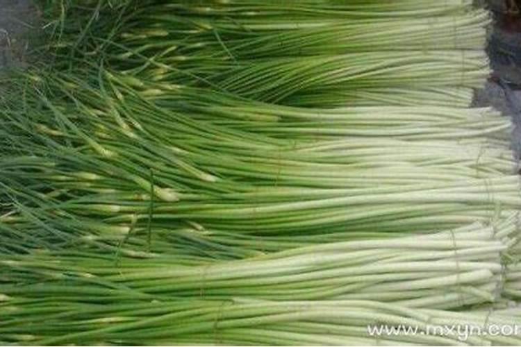 梦见蒜苔 梦见蒜苔是什么意思