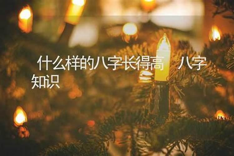 八字排盘软件哪个好用