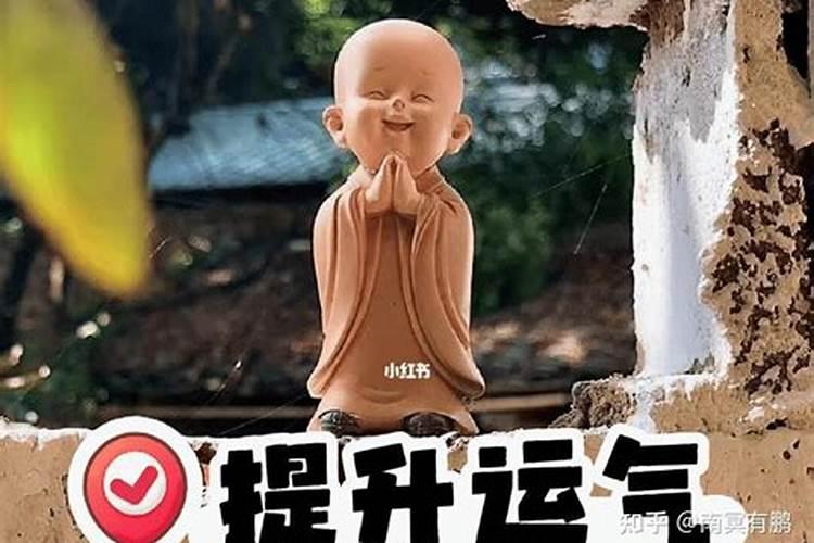 如何提升财运及运气？