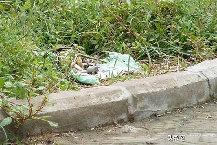 我儿孑才一岁半就死了他会投胎吗？他会去那呢？